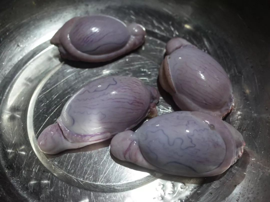 口味太重！开车1个小时！老桐乡吃货推荐：羊枪羊炮羊眼全安排上了……