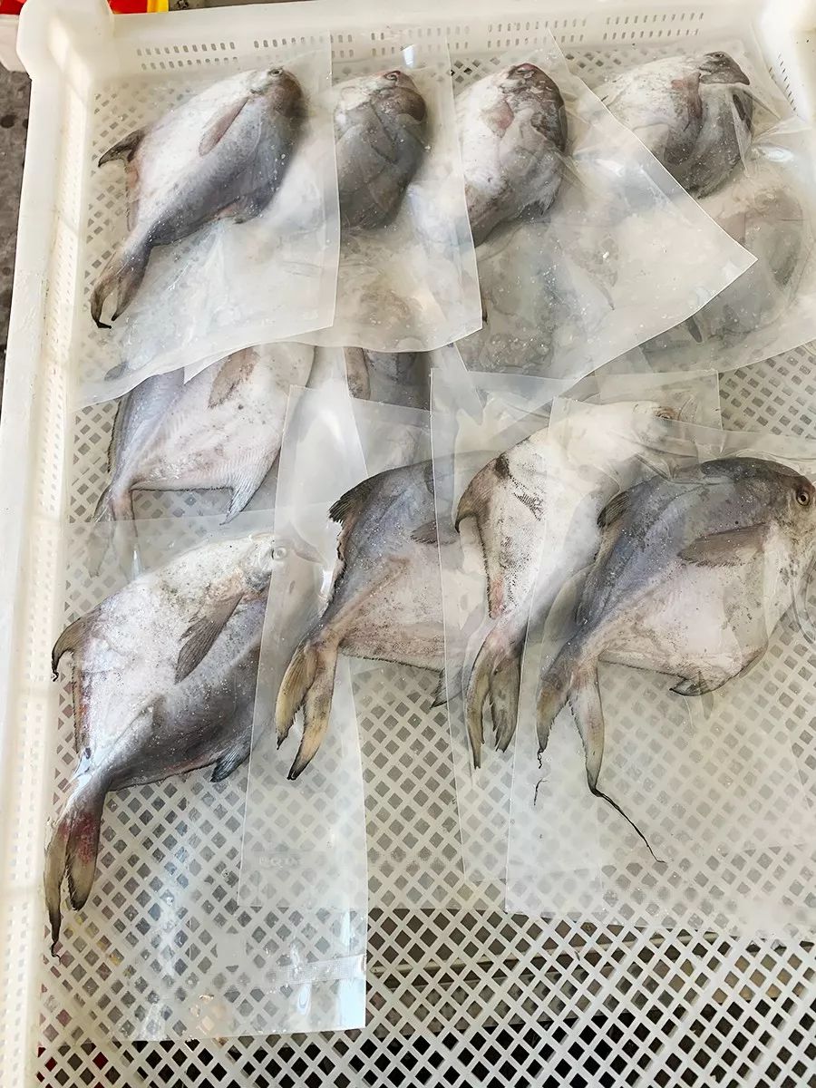 台湾评价吕四海鲜,吕四海鲜干货