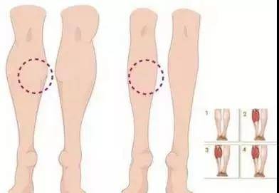 瘦腿小妙招2天见效视频,坐着也能瘦腿的瘦腿秘籍