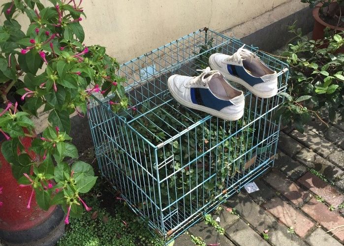 这张图非常火，网友留言说：这个星星就不知道把板凳往前挪一挪吗