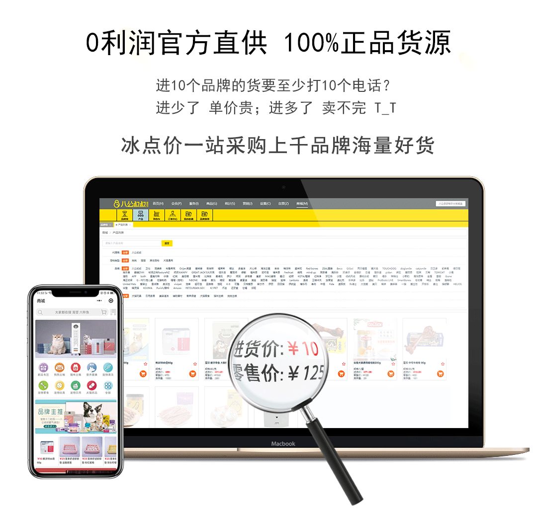 年轻人创业开个宠物店怎么样,创业开一家宠物店需要准备什么