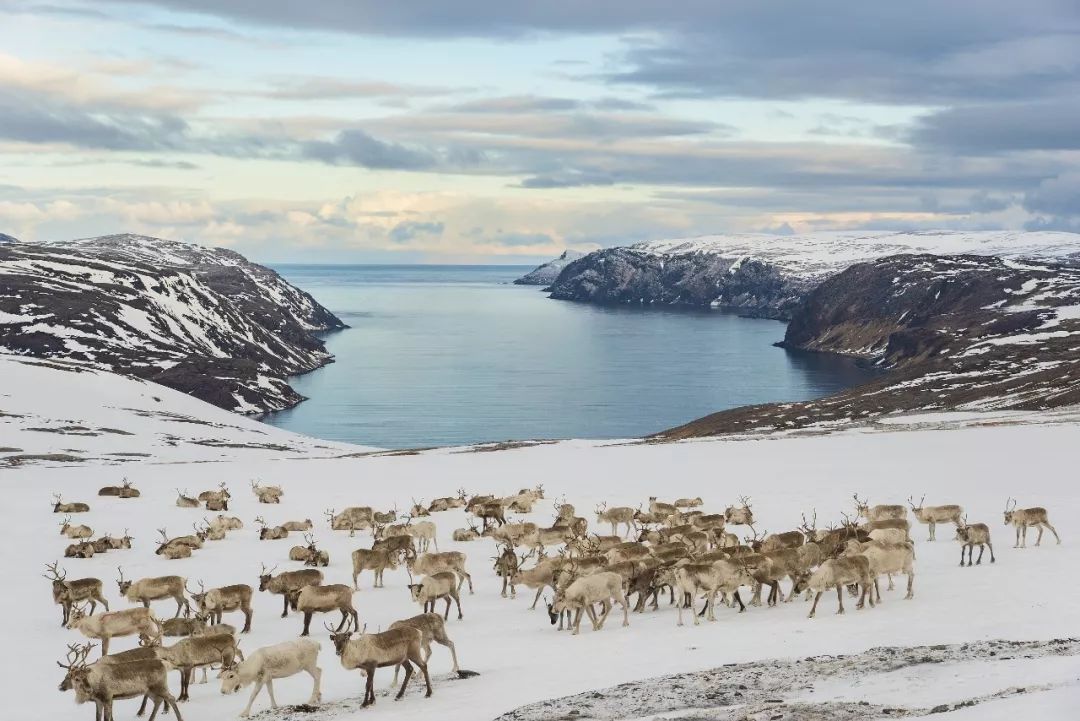 冰雪奇缘高度还原真人版,冰雪奇缘原片