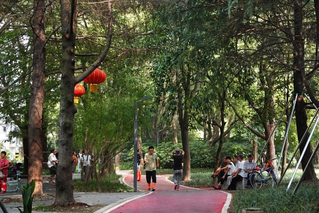 最美步道评选,黄浦最美健身步道