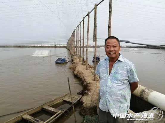 养虾的100大利润,养虾年入百万的人