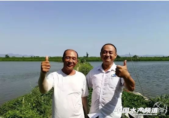 养虾的100大利润,养虾年入百万的人