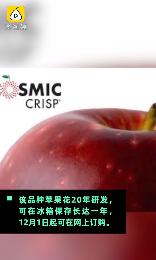 广州地陷父子2人怎么样,最新广州地陷父子被困