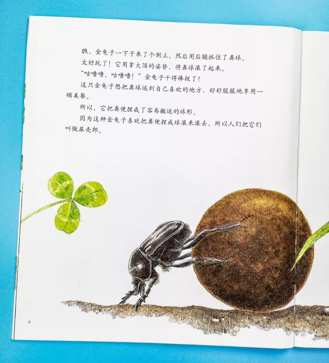 成长必读法布尔昆虫记,法布尔昆虫记书分享