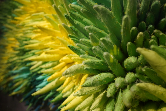 腾龙24mmf2.8定焦镜头视频测试,腾龙最新e卡口镜头