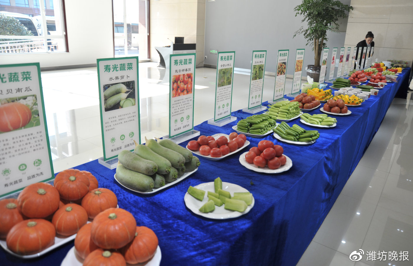 潍坊新旧动能转换寒亭,寿光新旧动能转换