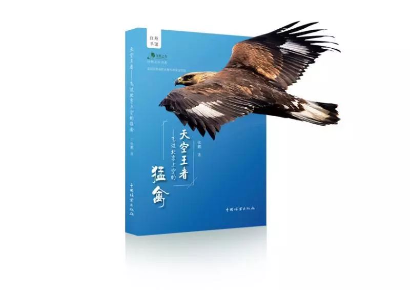 劲草嘉年华最新视频,2023年劲草嘉年华