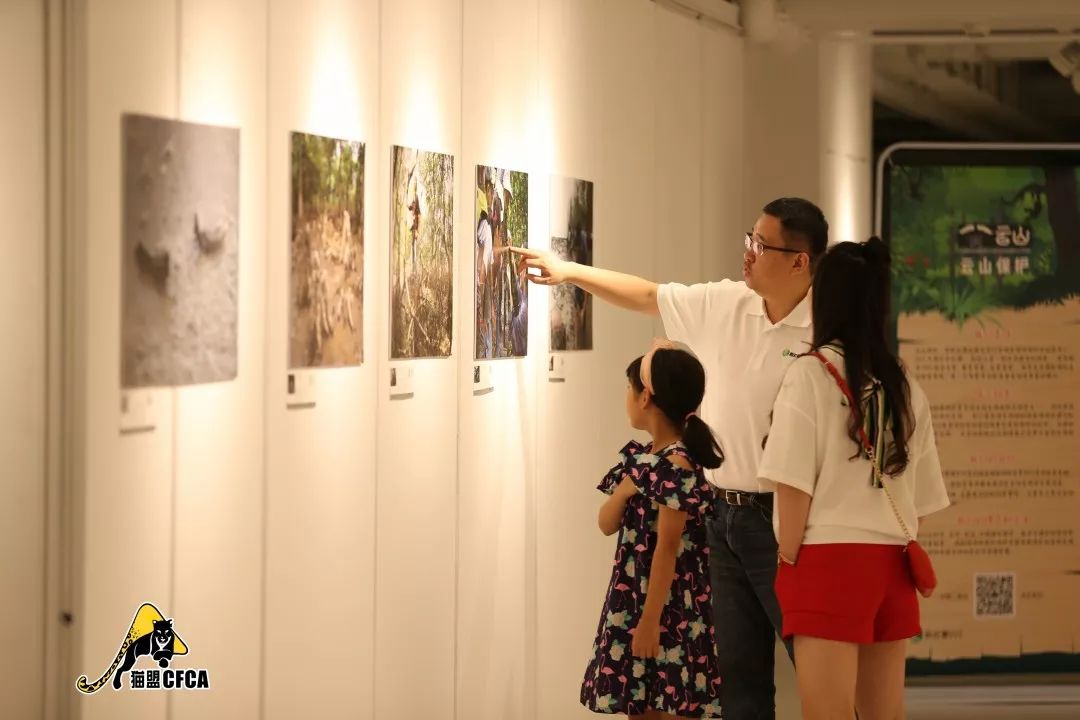 劲草嘉年华最新视频,2023年劲草嘉年华