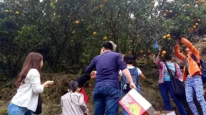 泉州的人间仙境,一秒就沦陷陆沉