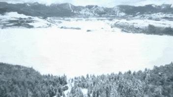 李宇春最新短款羽绒服,李宇春同款羽绒服长款