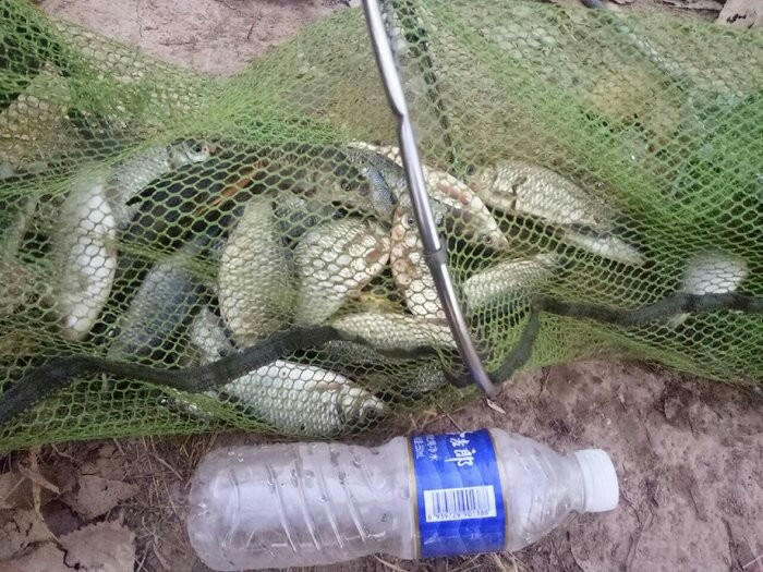 野钓入门装备清单大全,野钓买什么装备才算合格的钓友