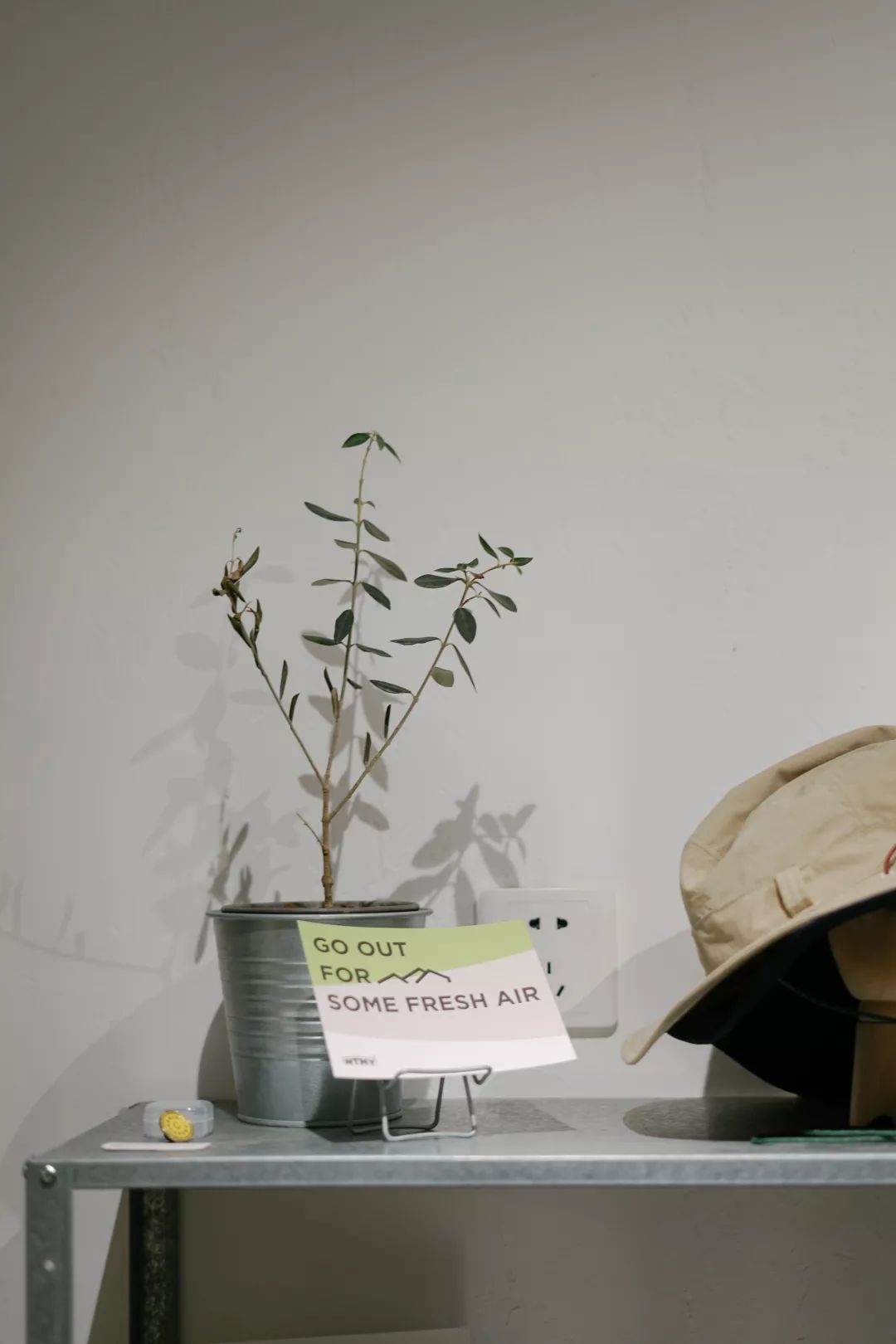 十二月南京一日游攻略,十二月的南京很温暖