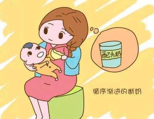 产后回病房该怎么做,原创科普产后回乳怎么做