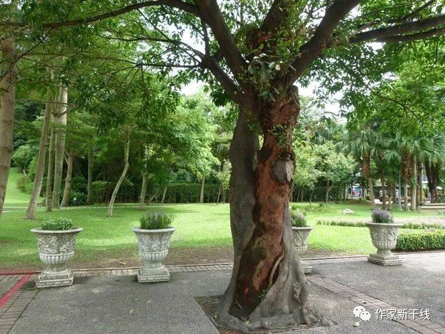 缇庢枃閫夎悆,缇庢枃閫夌补浣冲彞