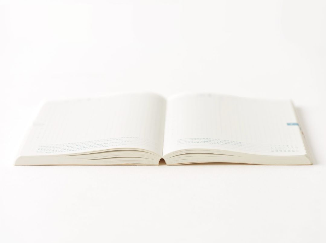 霓虹最好用的套装有哪些,霓虹最好用的套装