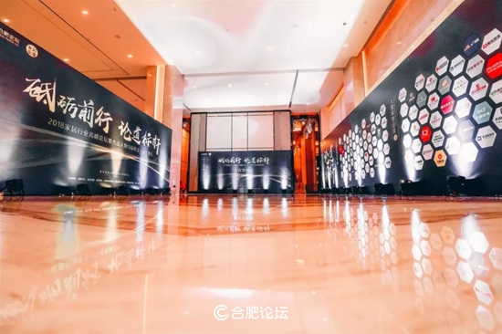 合肥瑞俪宜家家居股份有限公司董事长杨永强获“2018中国安徽家居优秀人物”奖项