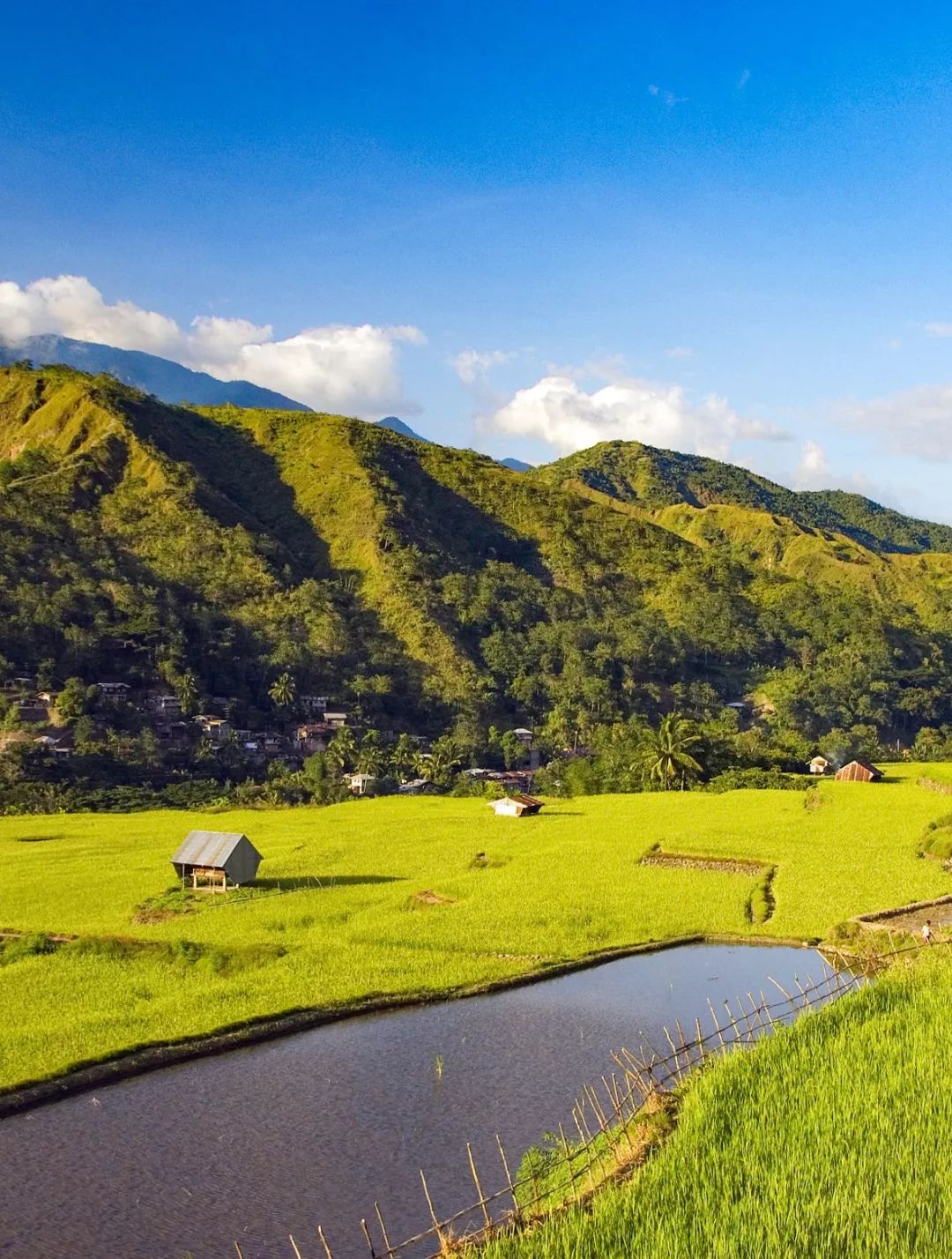 菲律宾塑料破碎,菲律宾碎尸案