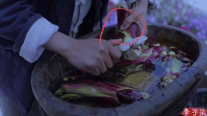 央视评李子柒走红的原因,李子柒被赞视频