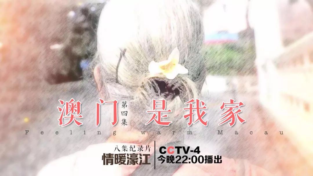 澳门回归澳门人的感受,澳门回归后的真实感受