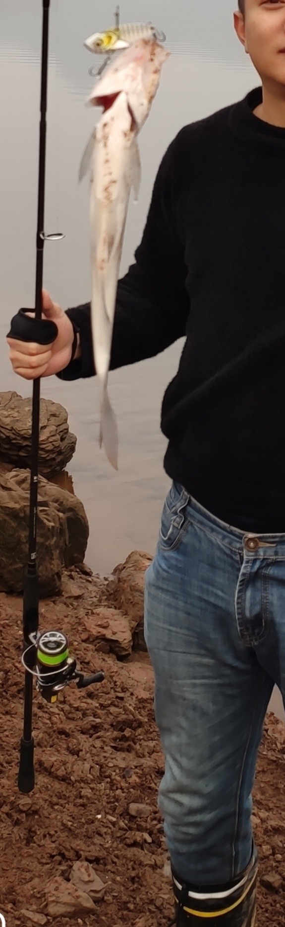 路亚和矶钓如何选择,台钓和路亚哪个烧钱