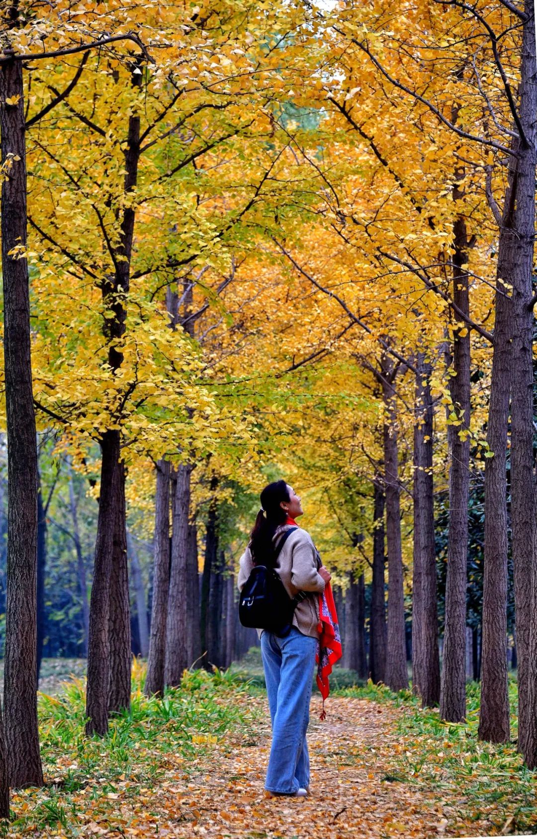 洛阳夜晚网红打卡圣地,洛阳广州市场网红打卡地