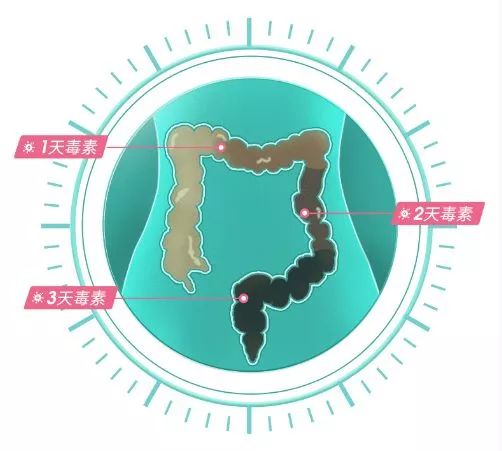 给肠道洗个澡，便秘、口臭、大肚腩都没了