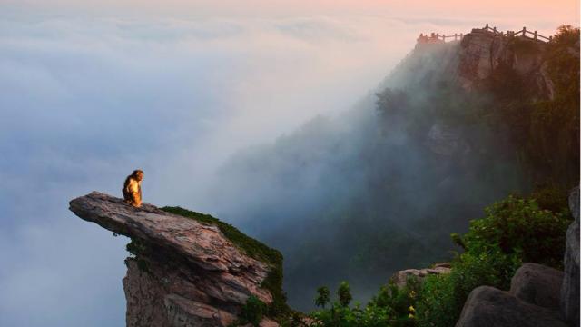 江苏5a景区自驾攻略,江苏有哪些5A景点