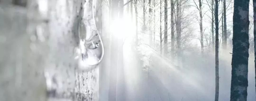 过年不知道该送爸妈什么,过年送礼送父母什么比较合适