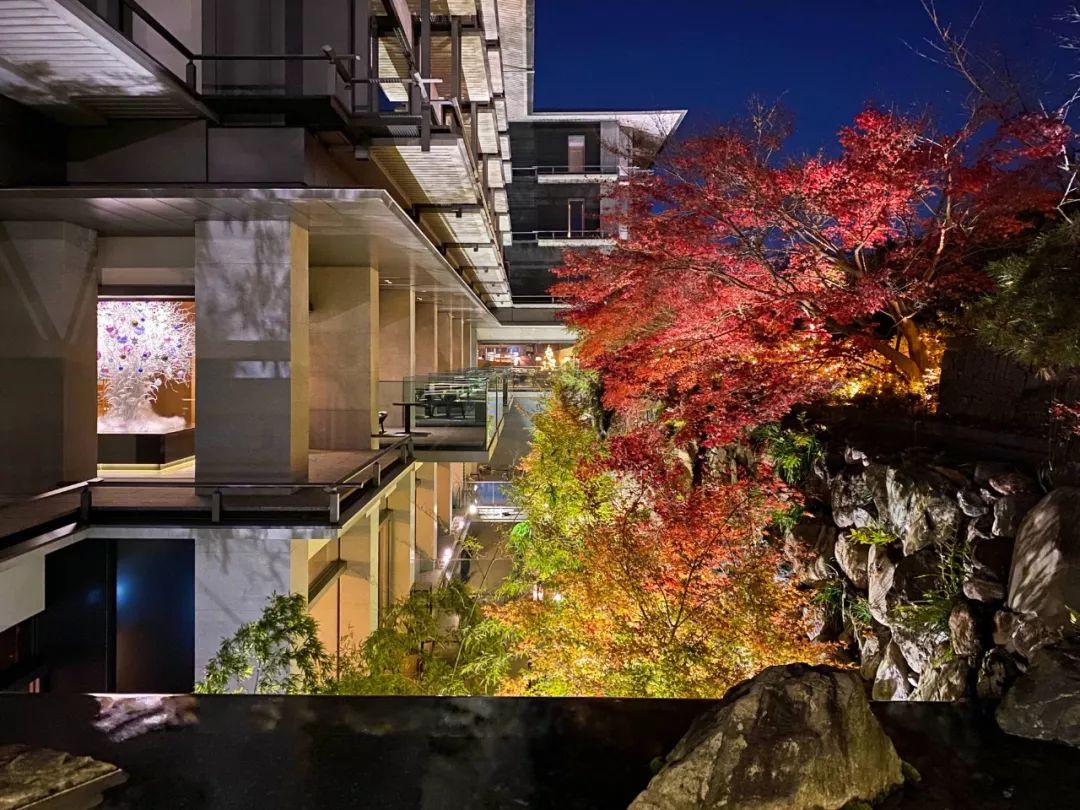 京都丽思当之无愧的亚洲旗舰,丽思京都