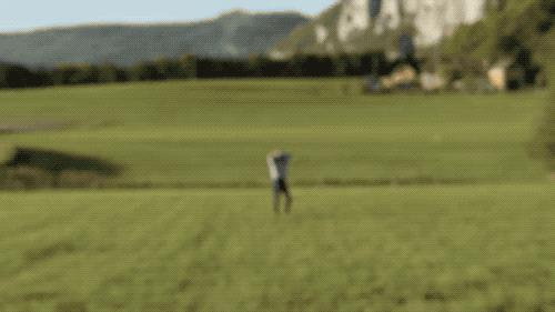 网络视频都是摆拍的吗,视频都是故意摆拍的吗