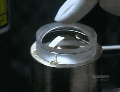 网络视频都是摆拍的吗,视频都是故意摆拍的吗