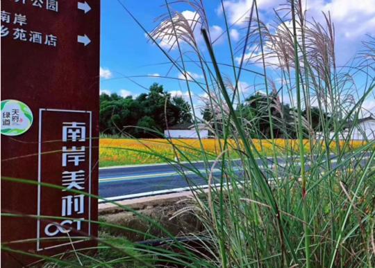 成都建设美丽乡村方案,成都大邑乡村振兴示范村