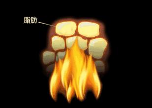 多喝黑咖啡能不能瘦肚子,咖啡减肥正确喝法月减15斤可以吗