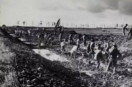 合肥安农大蜀山区,合肥安农大老校区地址