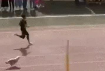 前方高能搞笑视频,前方高能搞笑动画全集