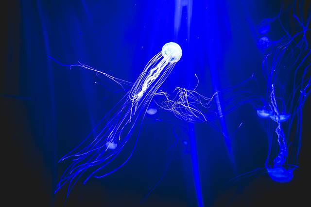 猝不及防闯入你的容颜｜你好，青岛