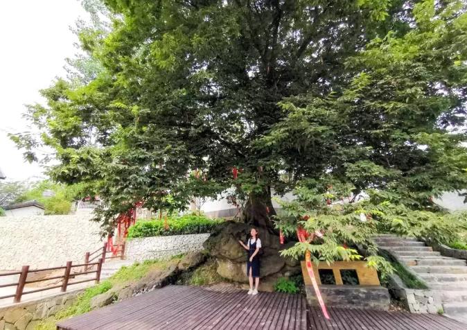 南京小众村庄,南京最低调又好玩的地方