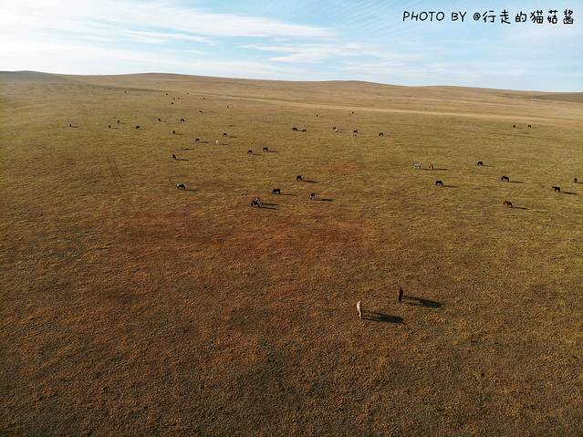 自驾呼伦贝尔草原公路,呼伦贝尔草原自驾公路