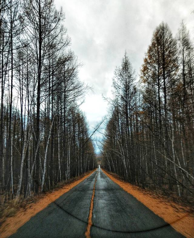 自驾呼伦贝尔草原公路,呼伦贝尔草原自驾公路