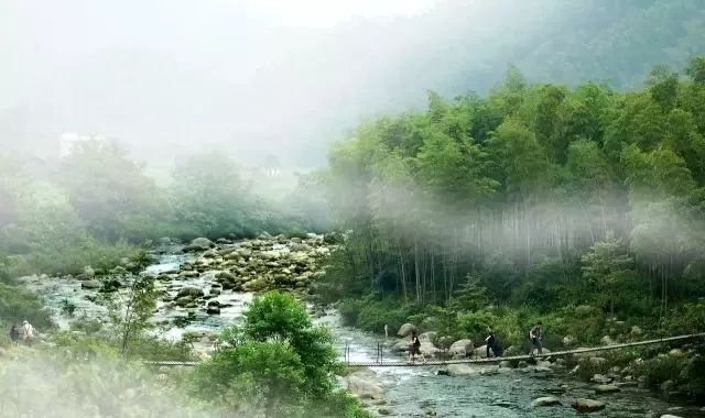 2020骞翠綑棰濆凡涓嶈冻,2019骞村凡浣欓涓嶈冻