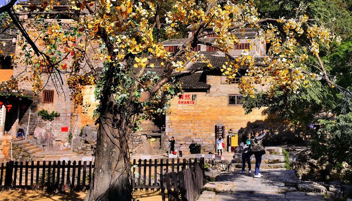 2020骞翠綑棰濆凡涓嶈冻,2019骞村凡浣欓涓嶈冻