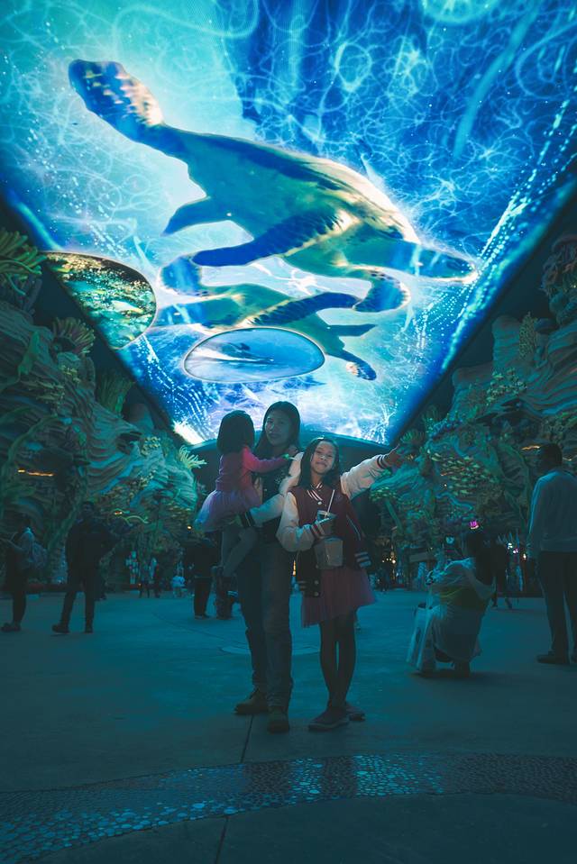 长隆海洋王国海底机动船,珠海长隆海洋王国鲸鲨馆海底区