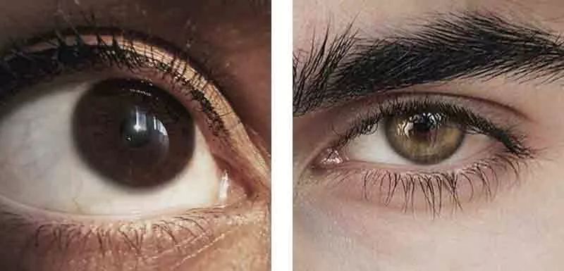 百亿影后再创佳绩，90后大军正式接棒坐镇大荧幕