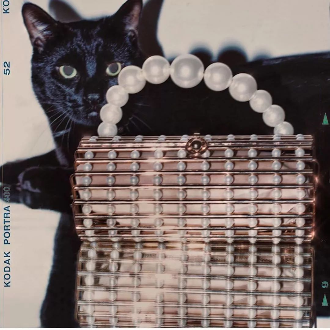 SSLoves|节日完美礼单