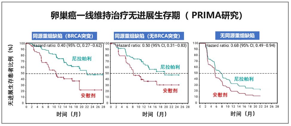 从轰动全球到不能验证,尼拉帕利国内上市时间