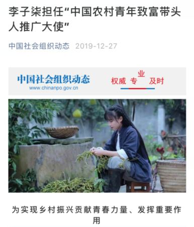 李子柒成中国海外第一红人,李子柒火遍全球的视频