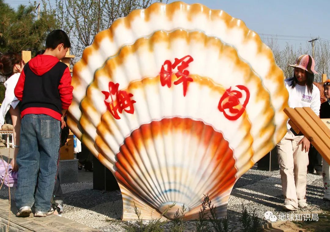 沿海人民是如何喂饱中国的？